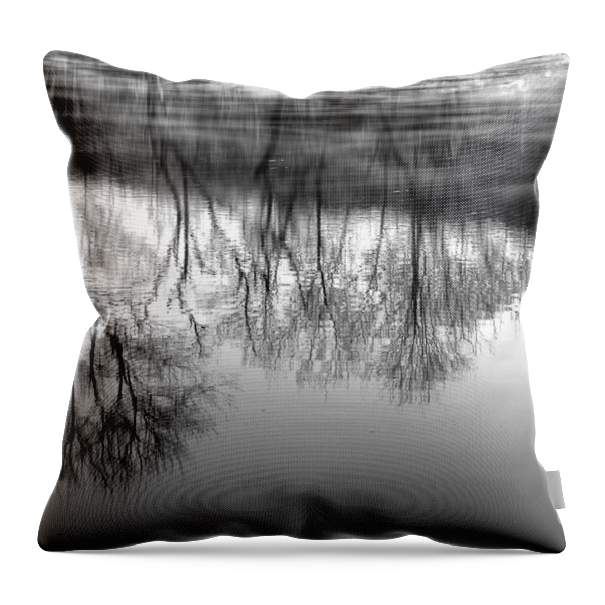 River Monochrome Throw Pillow featuring the photograph Cold Reflection by Michael Eingle