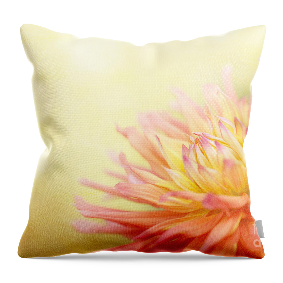 Dahlia Throw Pillow featuring the photograph Color Me Happy by Beve Brown-Clark Photography