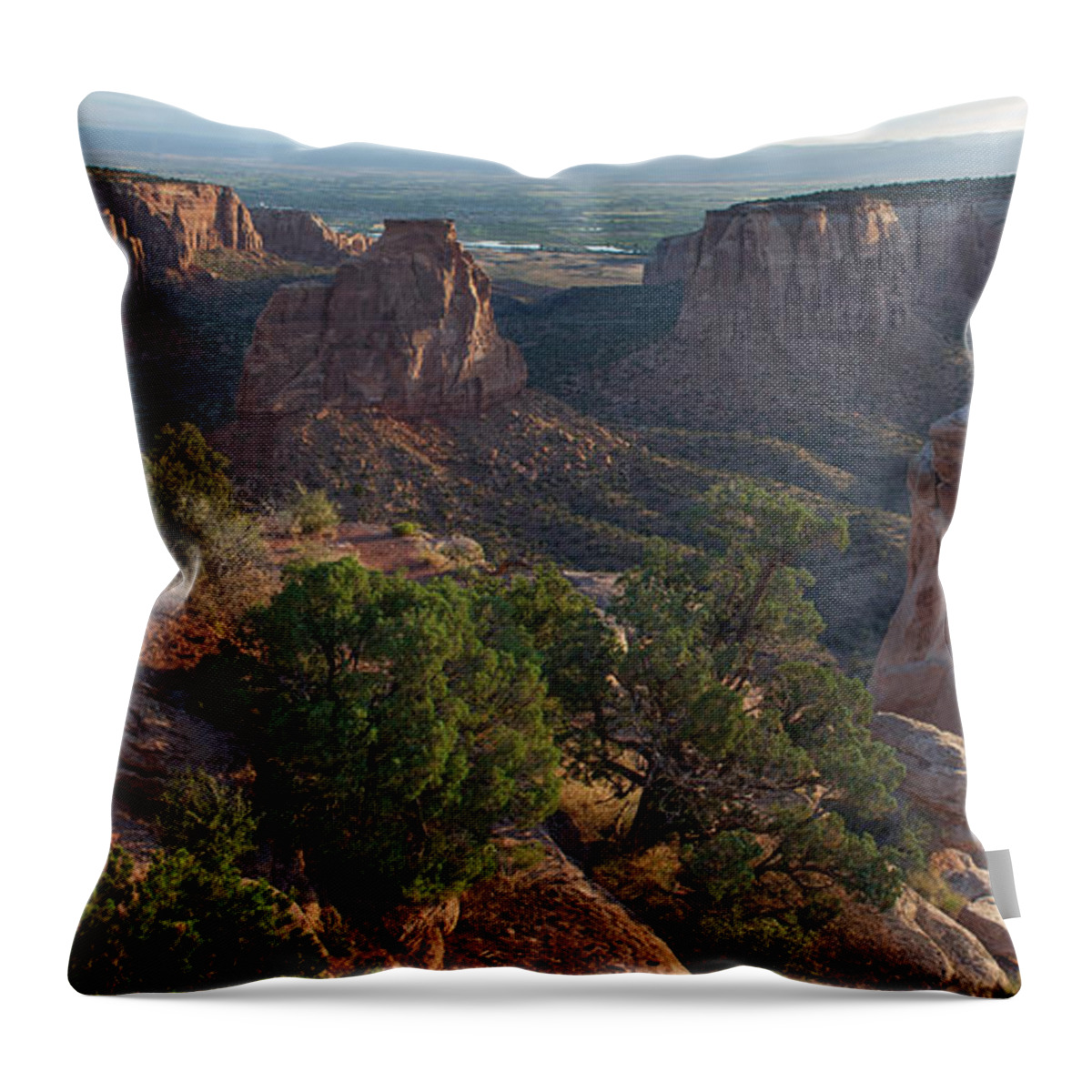 Colorado Throw Pillow featuring the photograph Colorado National Monument by Aaron Spong