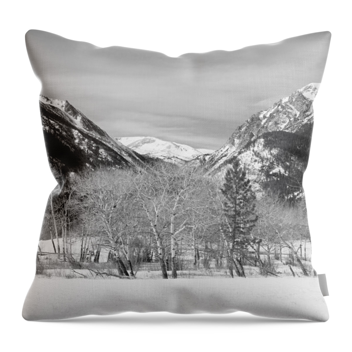 Trees Throw Pillow featuring the photograph Colorado Rocky Mountain Winter Horseshoe Park BW by James BO Insogna