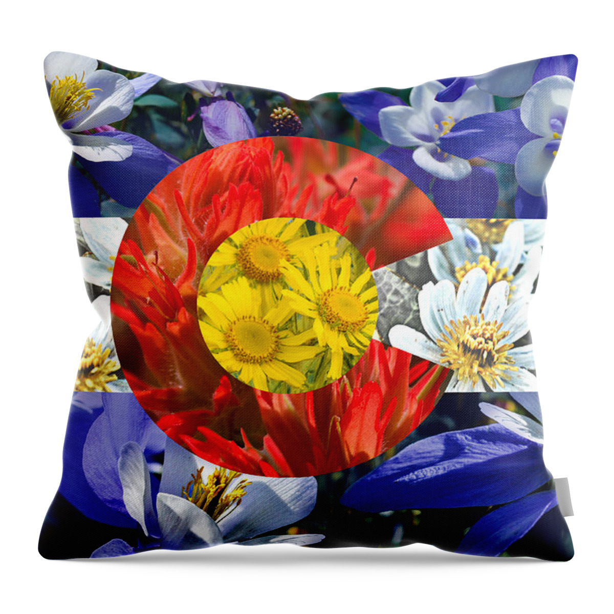 Colorado Throw Pillow featuring the photograph Colorado State Flag with Wildflower Textures by Aaron Spong