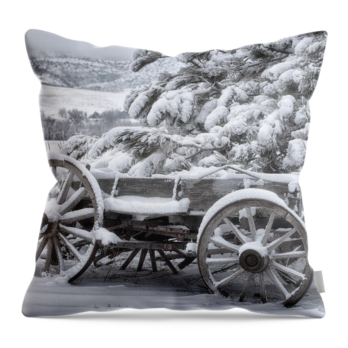 Snow Throw Pillow featuring the photograph Colorado Wagon by Darren White