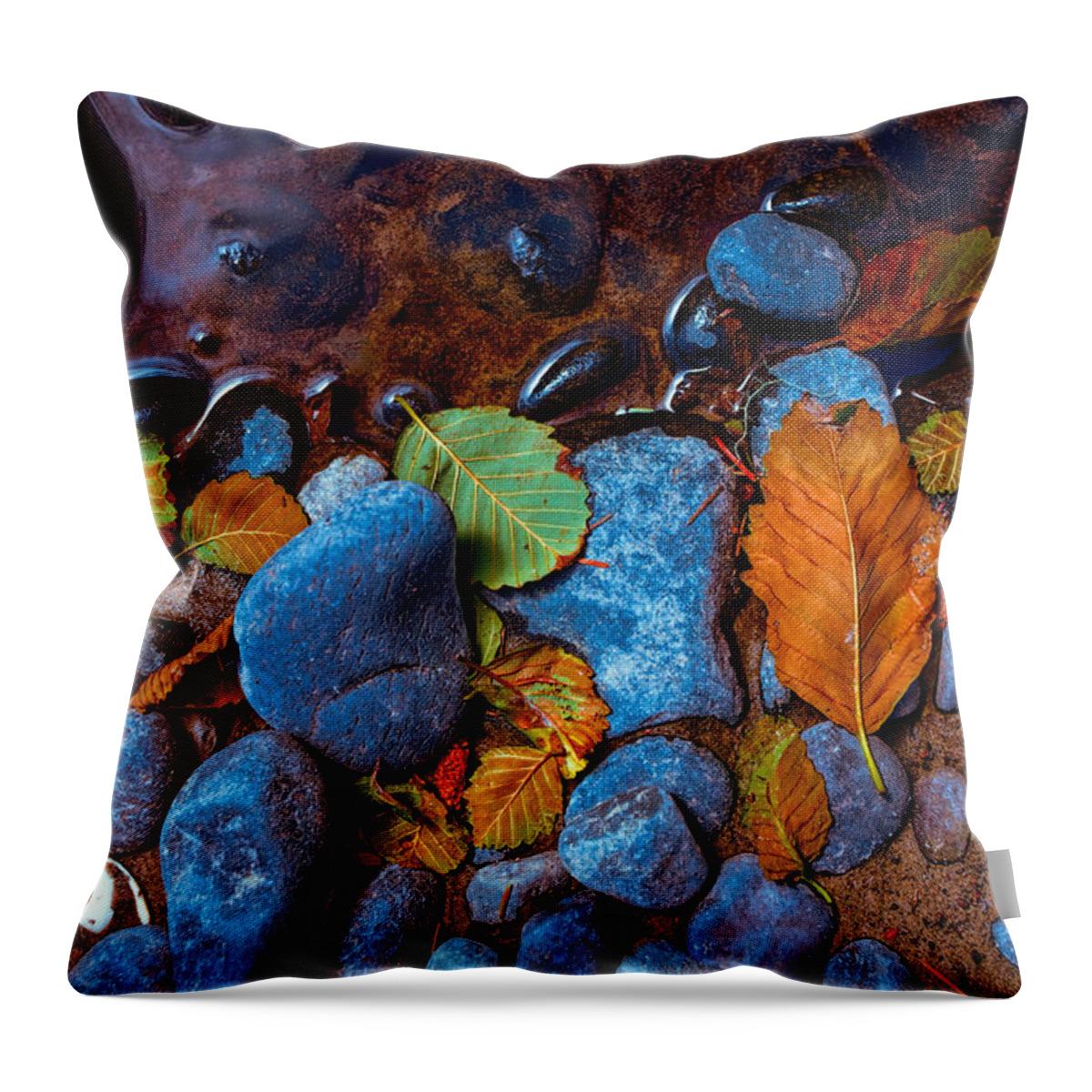 Beach Throw Pillow featuring the photograph Colorful Beach Debris by Bonnie Bruno