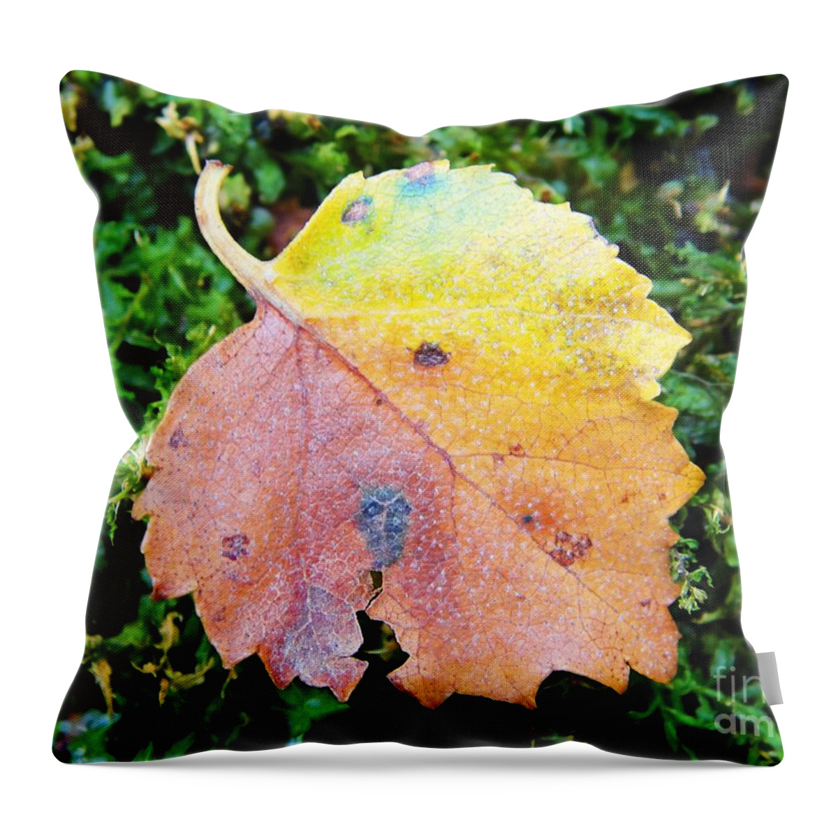 Fall Throw Pillow featuring the photograph Colorful fall leaf by Karin Ravasio