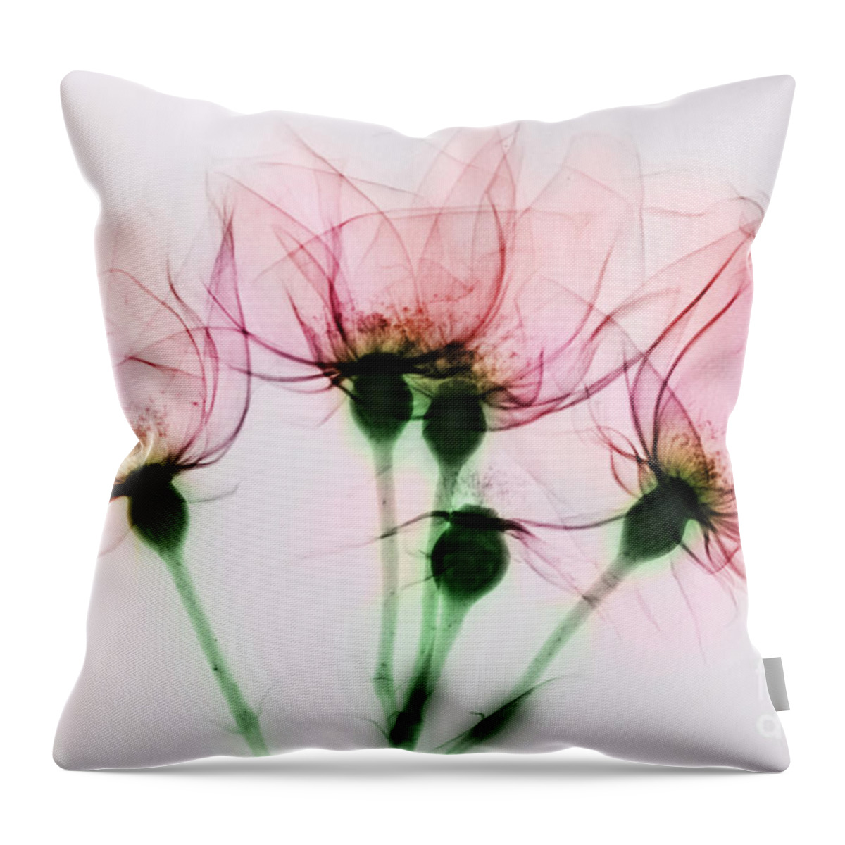 Rose Throw Pillow featuring the photograph Colorized X-ray Of Roses by Scott Camazine