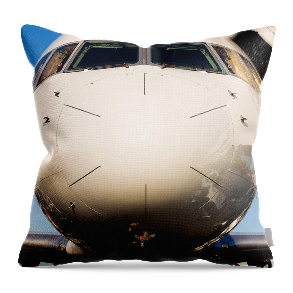 Aerospace Throw Pillow featuring the photograph Commercial Airliner by Raul Rodriguez