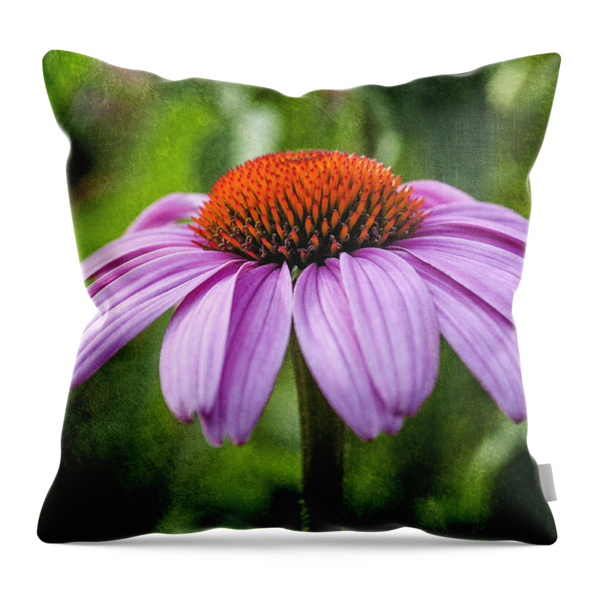 Flower Throw Pillow featuring the photograph Cone Flower by Cathy Kovarik