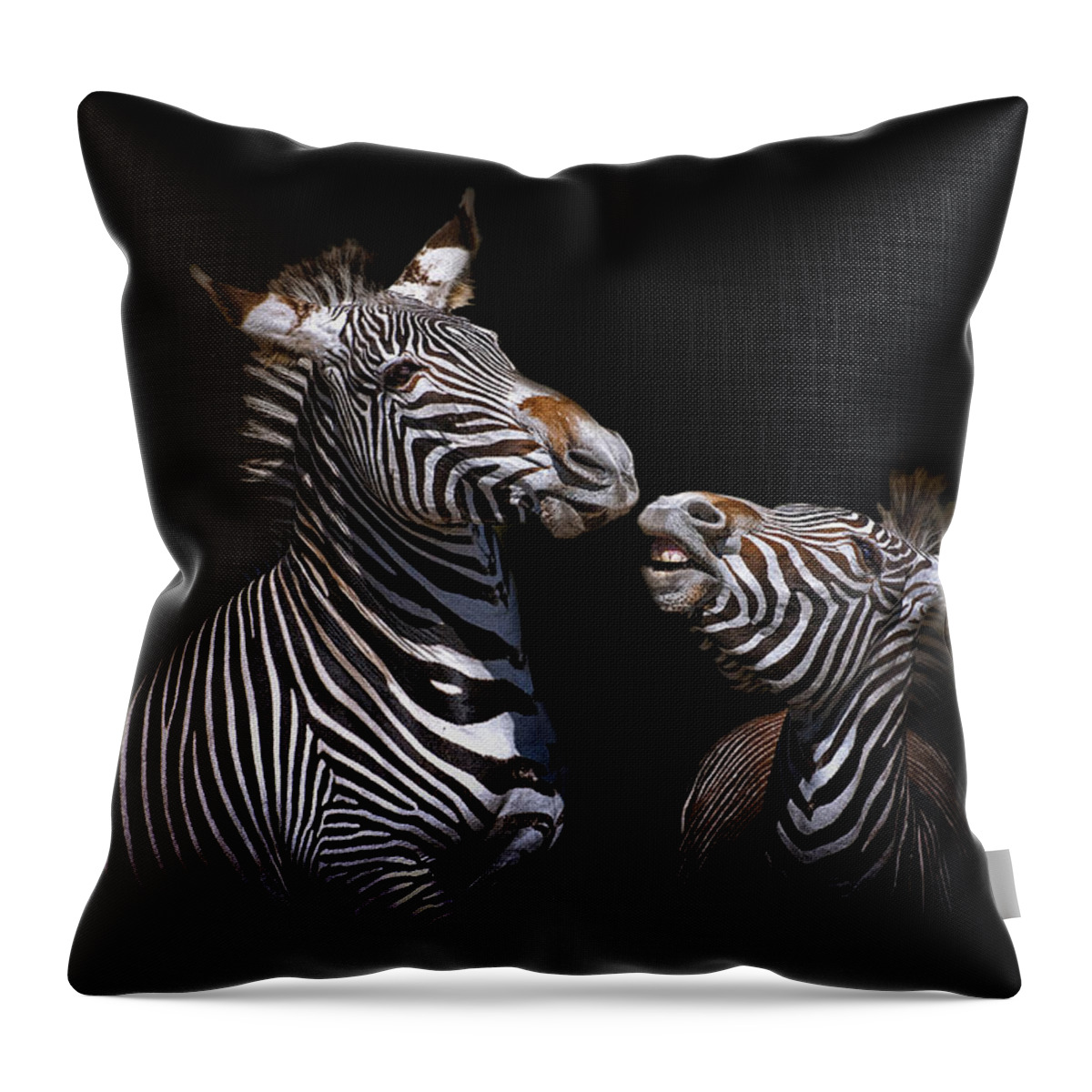 Zebra Throw Pillow featuring the photograph Conversation by Ghostwinds Photography