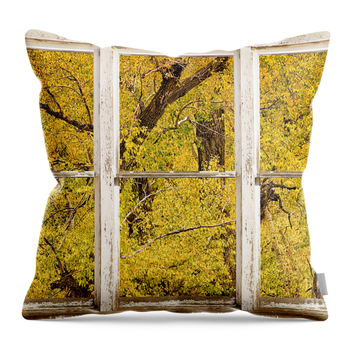 Window Throw Pillow featuring the photograph Cottonwood Fall Foliage Colors Rustic Farm Window View by James BO Insogna