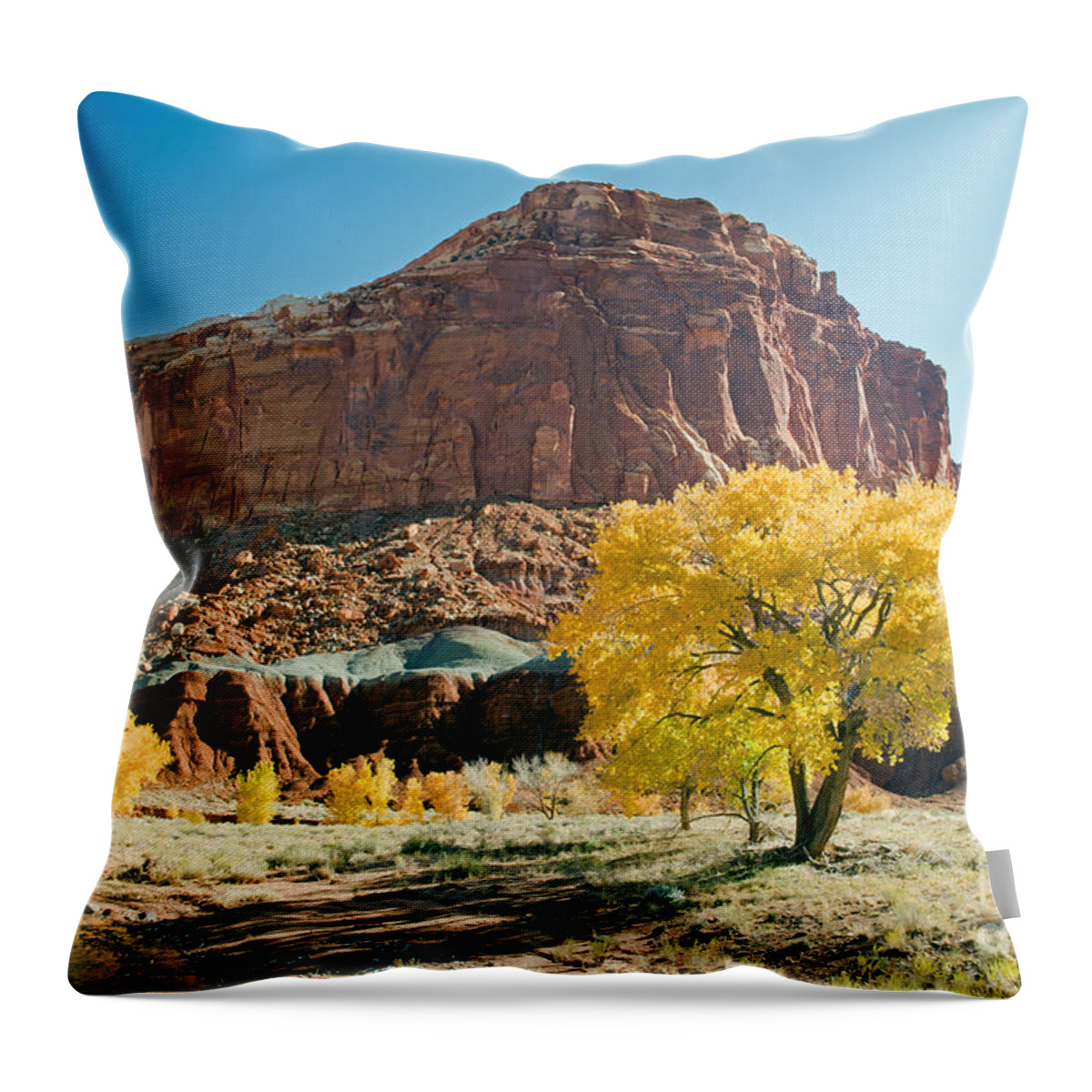 Autumn Throw Pillow featuring the photograph Cottonwoods in Fall The CastleCapitol Reef National Park by Fred Stearns