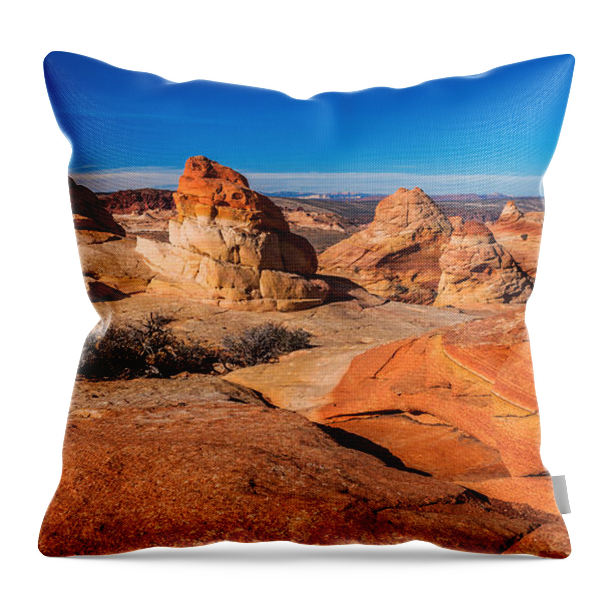 Arizona Throw Pillow featuring the photograph Coyote Lines by Chad Dutson