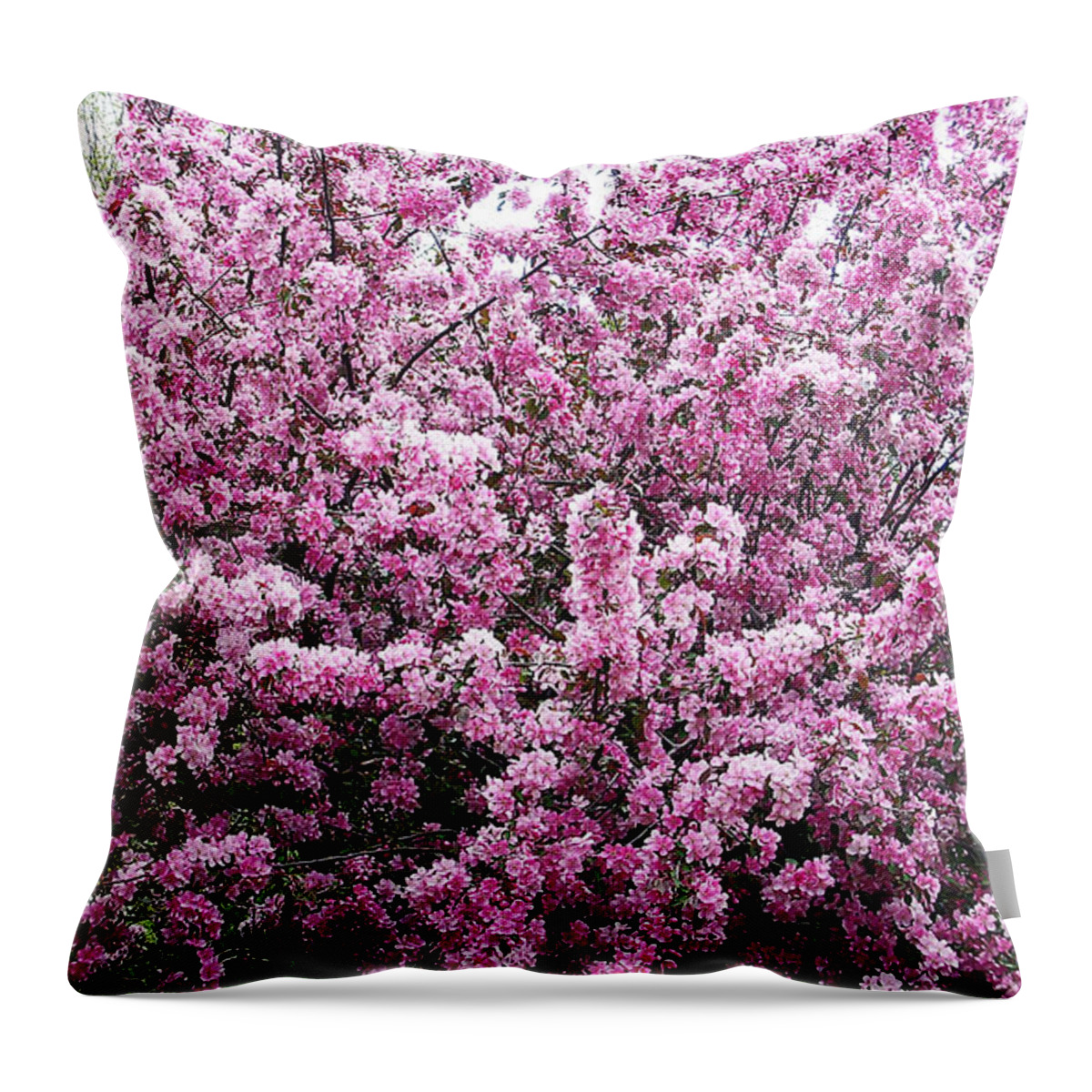 Crab Apple Tree Throw Pillow featuring the photograph Crab Apple Tree by Aimee L Maher ALM GALLERY