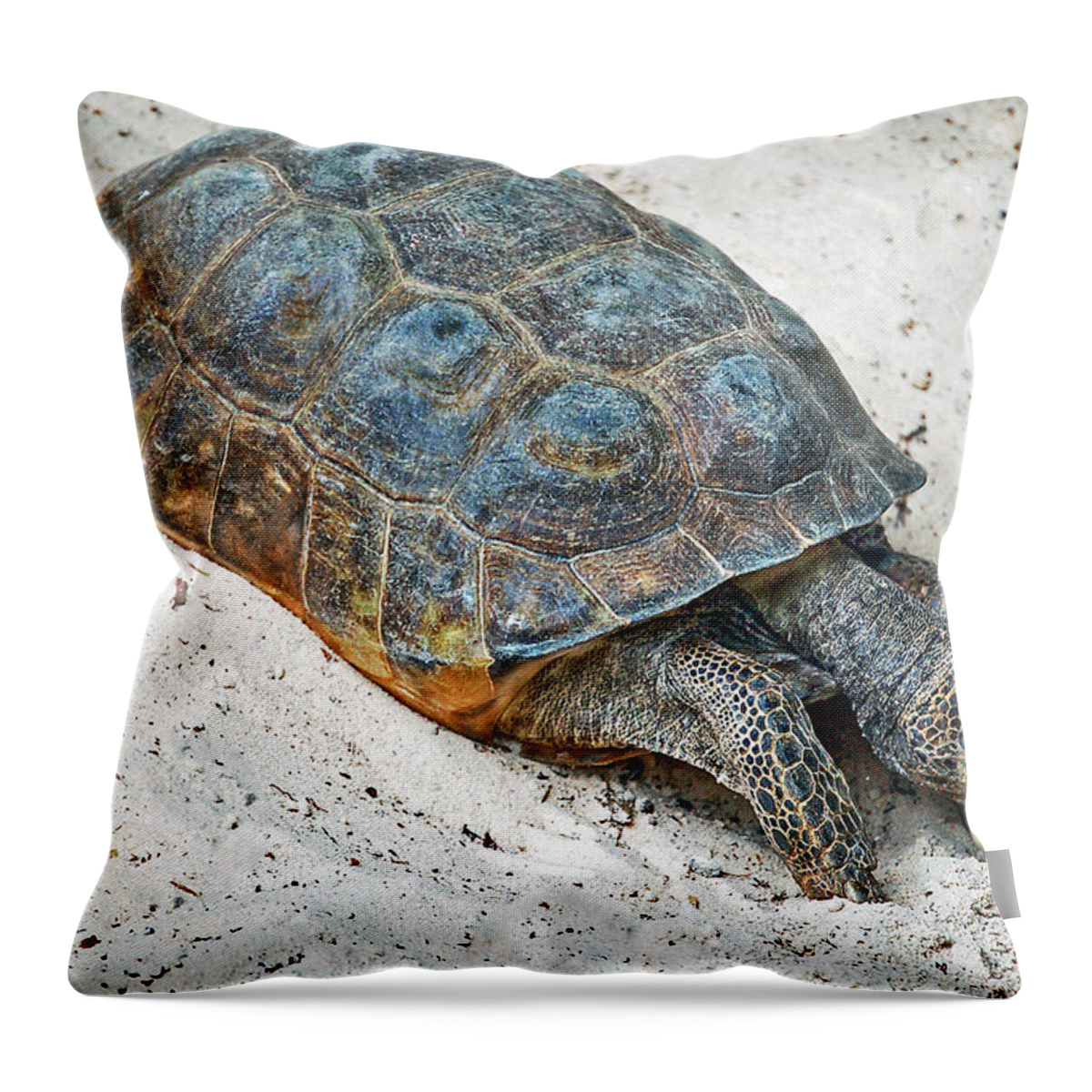 Tortoise Throw Pillow featuring the photograph Creeping Along by Donna Proctor