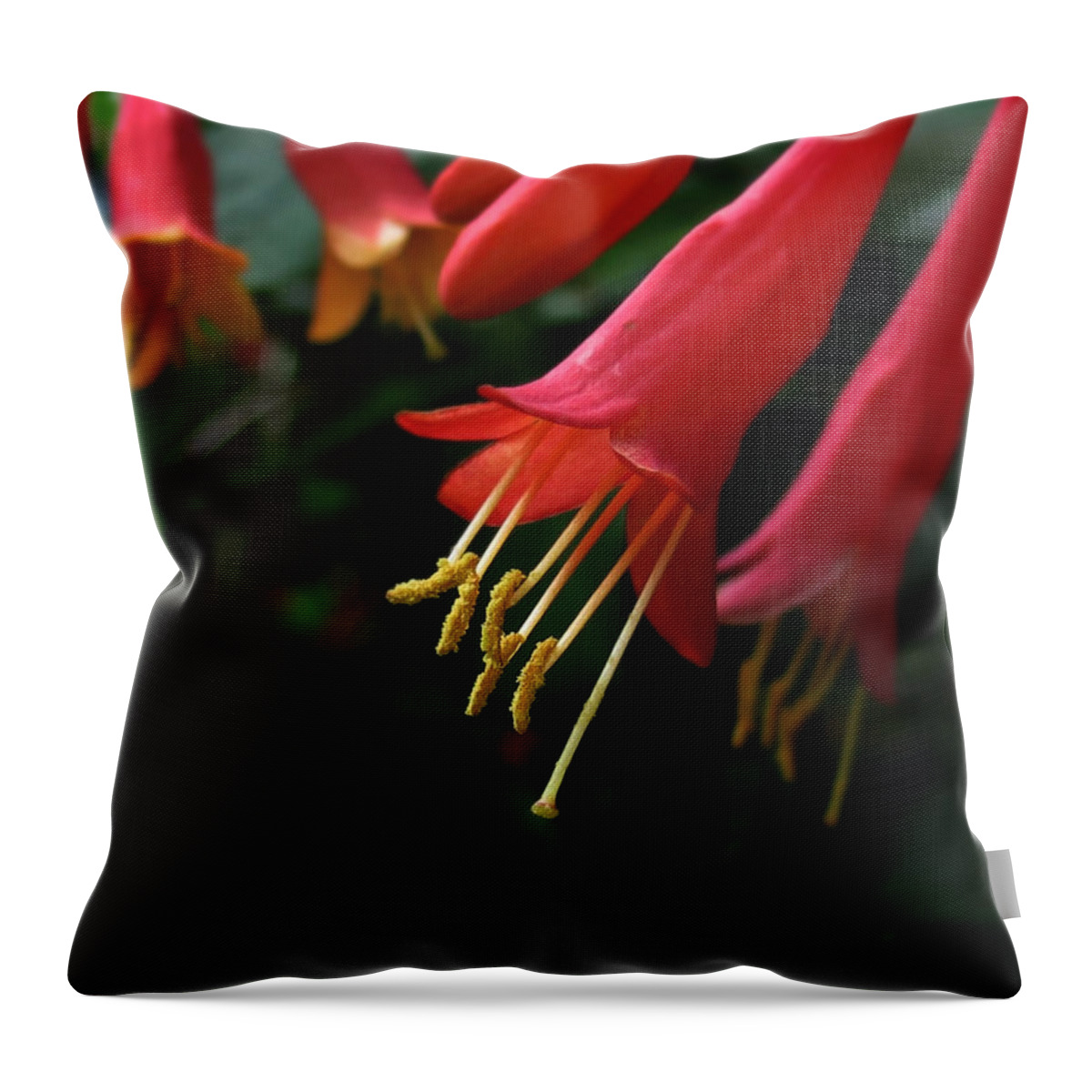 Flower Throw Pillow featuring the photograph Crimson Honey by Deborah Smith