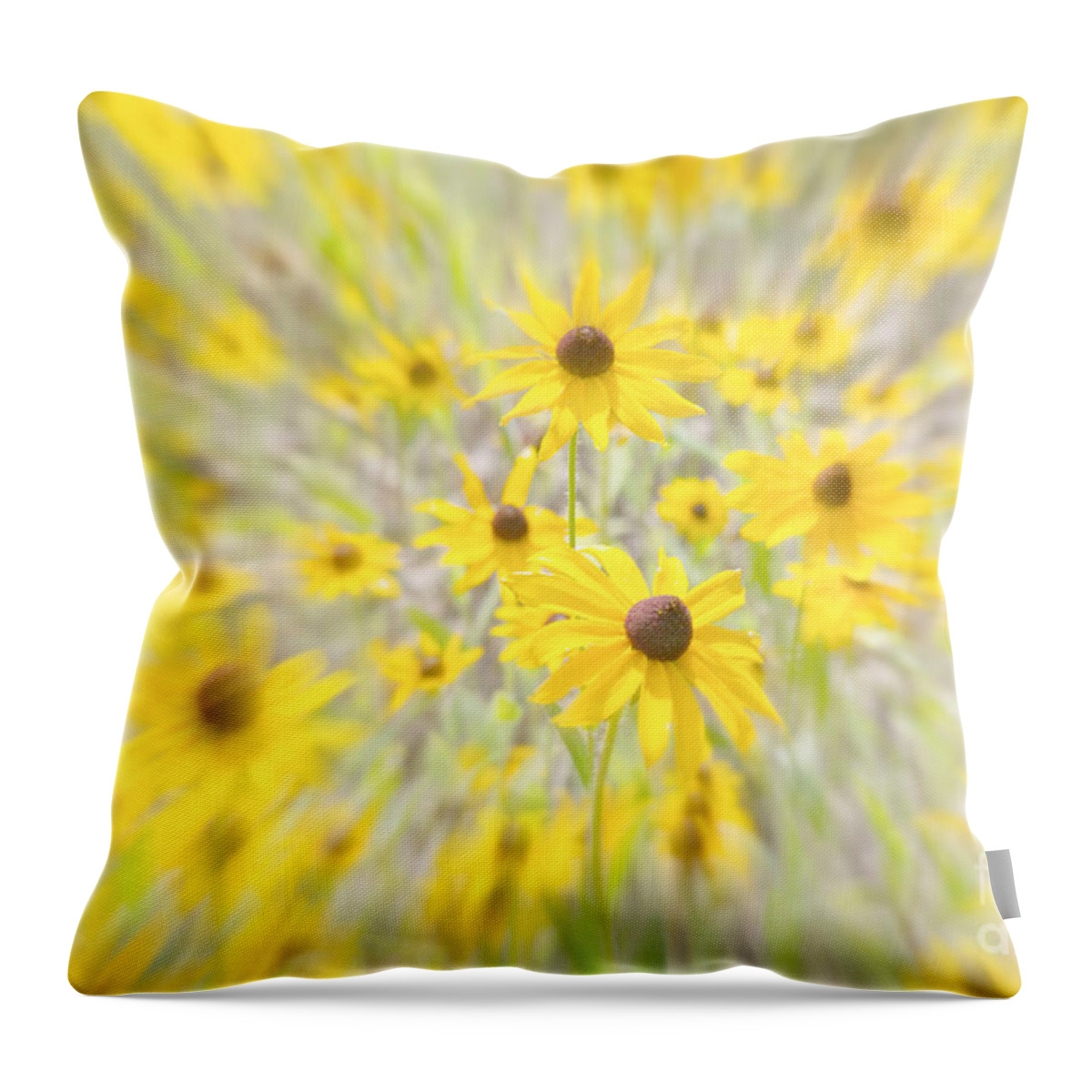 Flower Throw Pillow featuring the photograph Crossing Over by Chris Scroggins