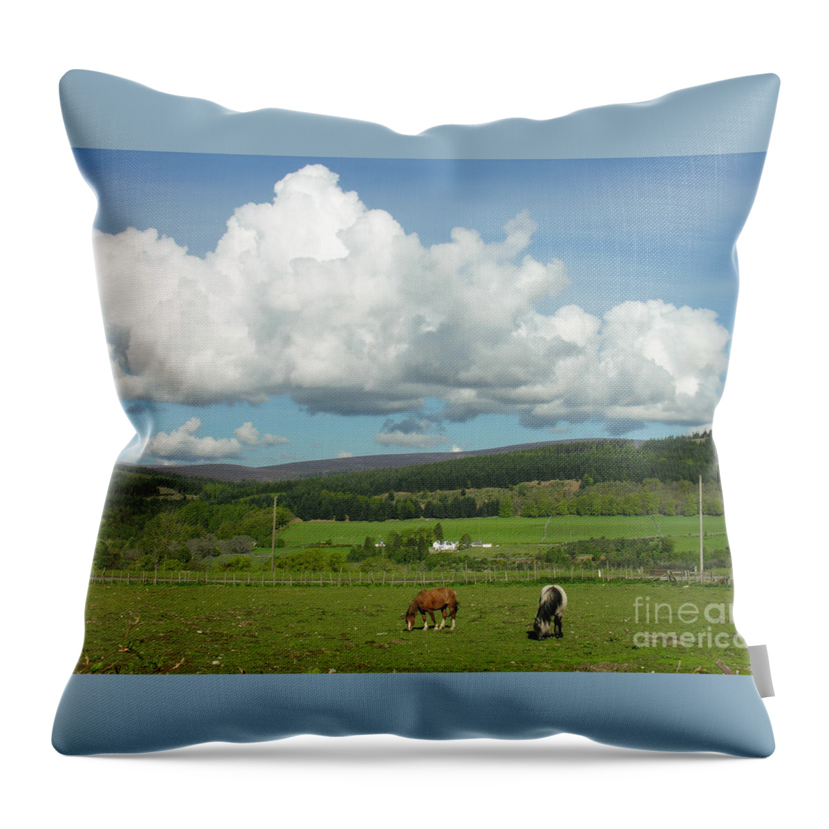 Cumulus Throw Pillow featuring the photograph Cumulus Clouds in June by Phil Banks