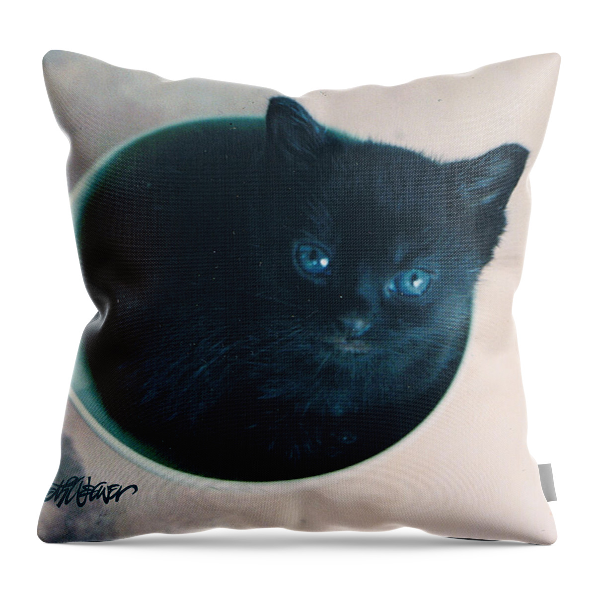 Cat Throw Pillow featuring the photograph Cup O'Kitty by Seth Weaver