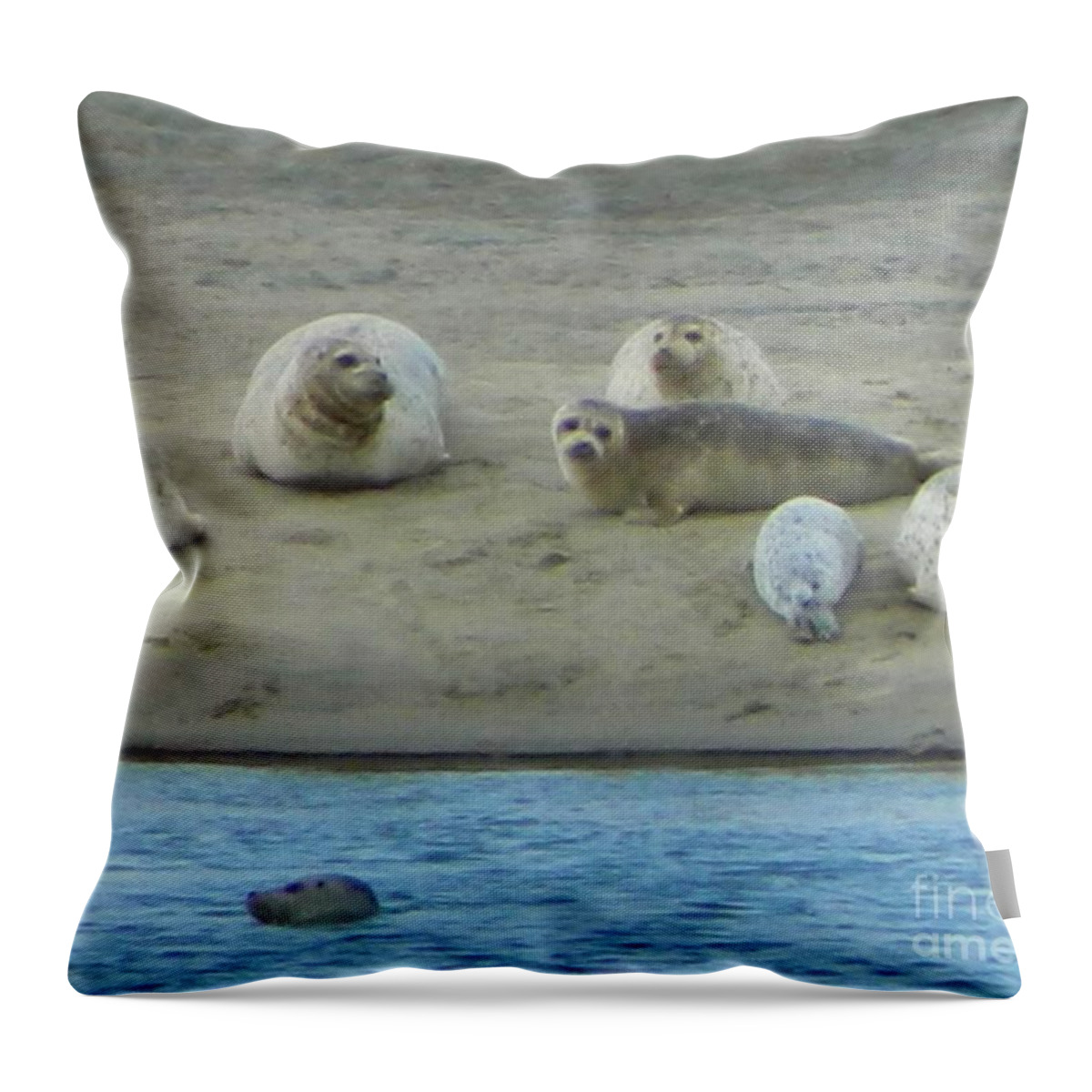 Nature Throw Pillow featuring the photograph Cute Faces by Gallery Of Hope 