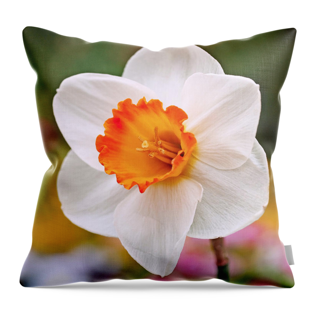 Daffodil Throw Pillow featuring the photograph Daffodil by Rona Black