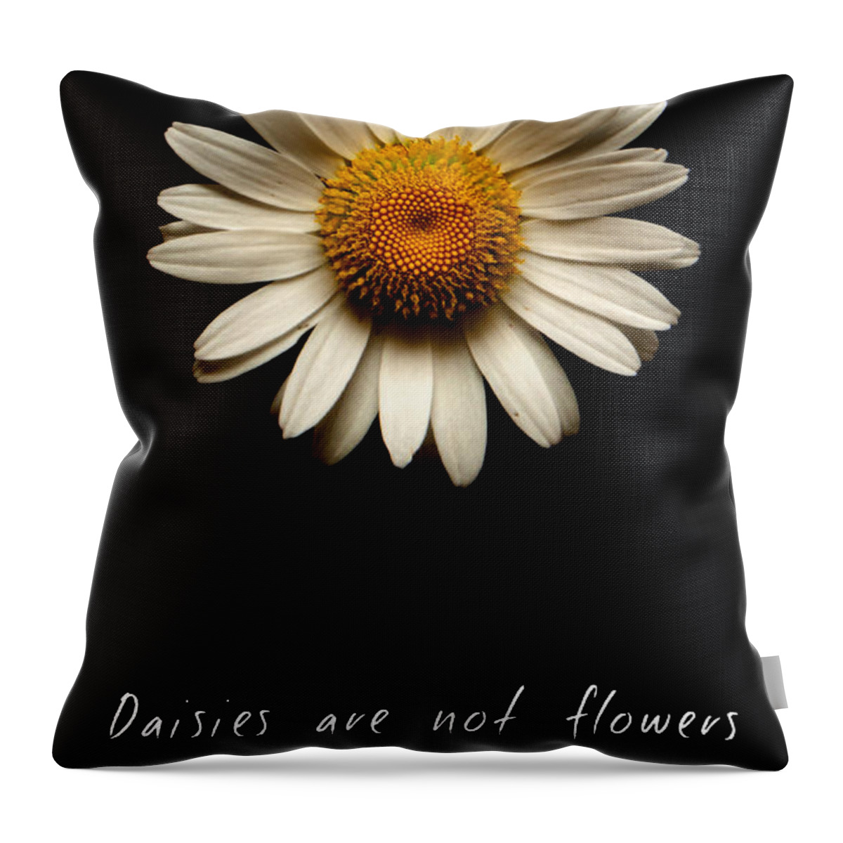 Daisies Are Not Flowers Throw Pillow featuring the photograph Daisies are not flowers by Weston Westmoreland