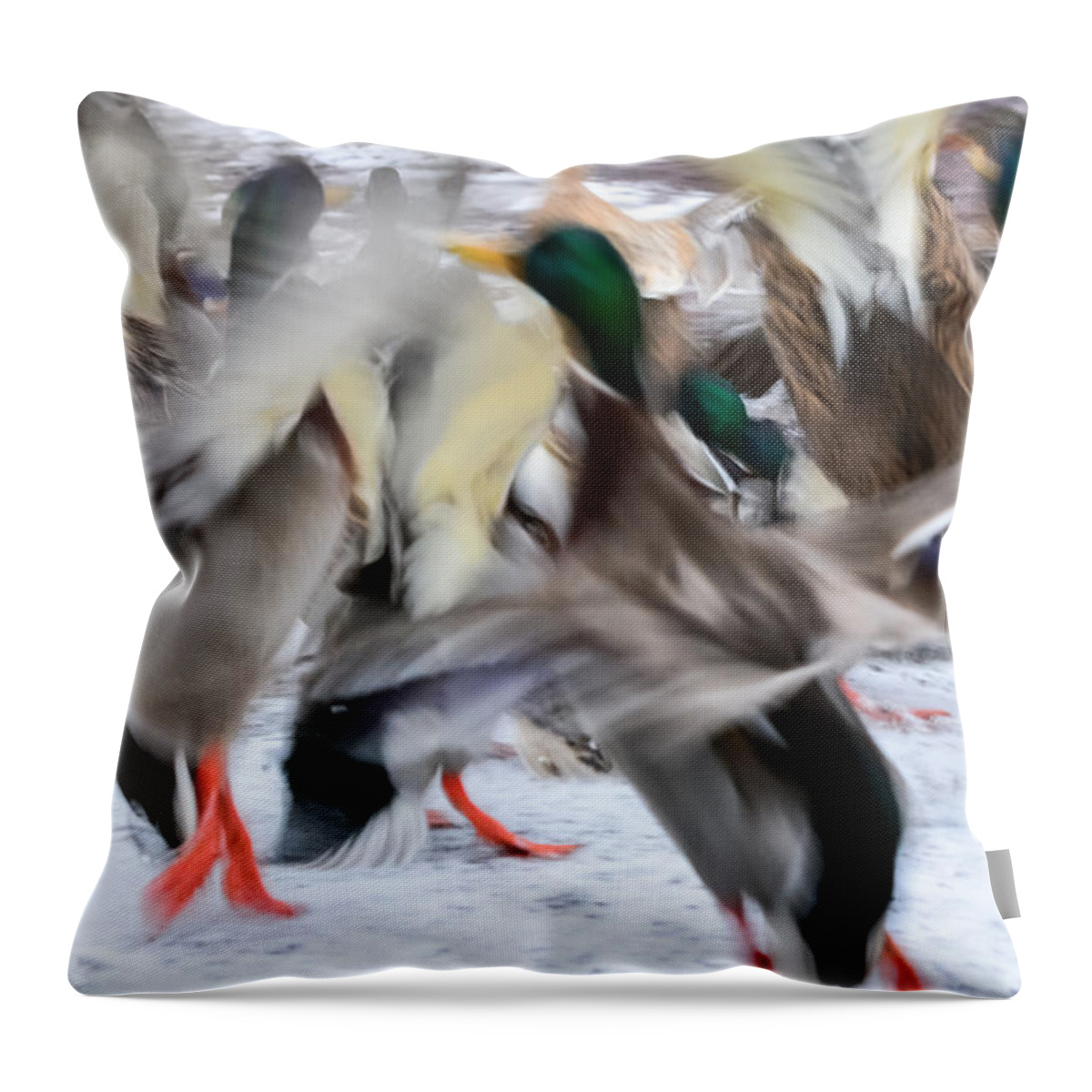 Mallards Throw Pillow featuring the photograph Dancing Ducks by Holden The Moment