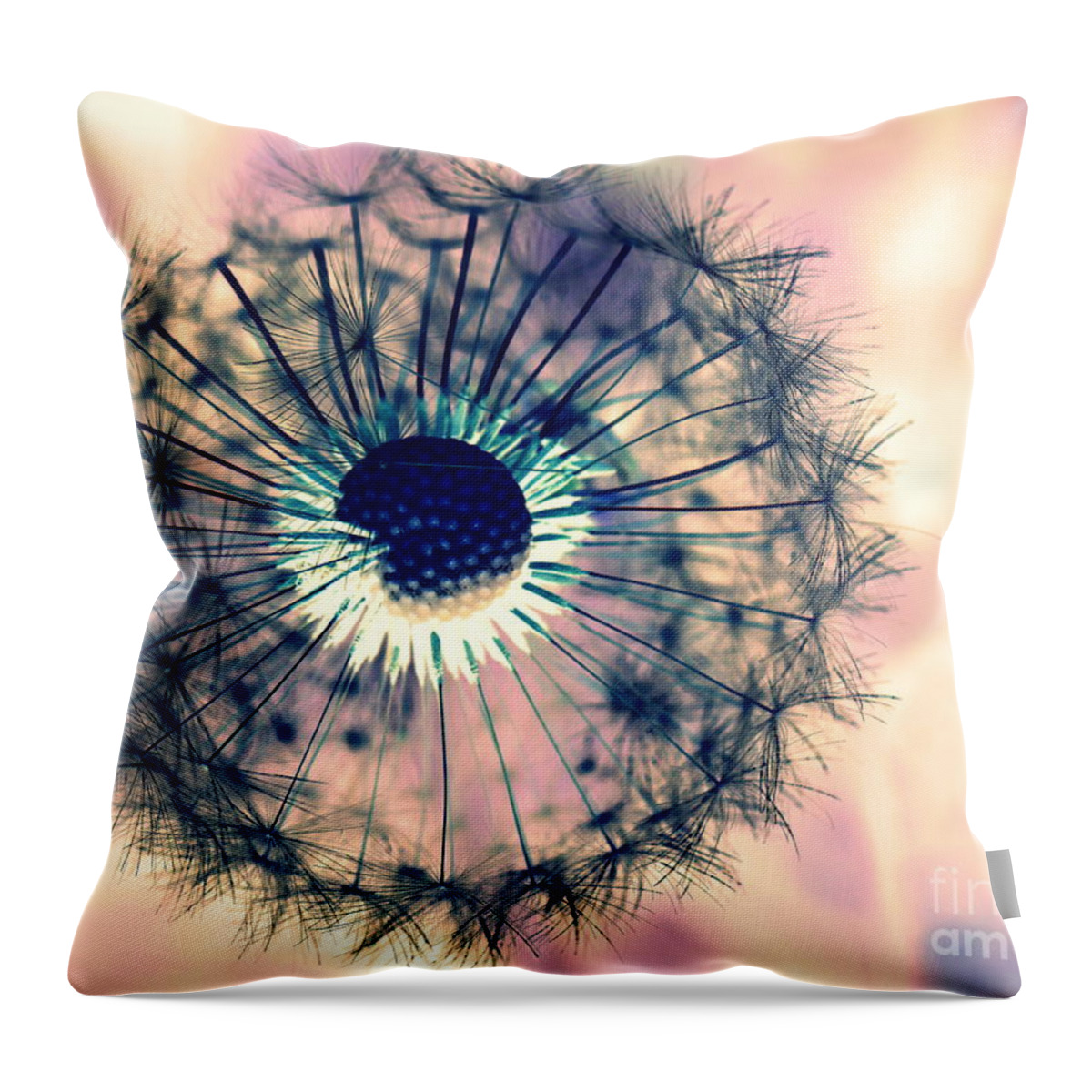 Dandelions Throw Pillow featuring the photograph Dandelion 5 by Amanda Mohler
