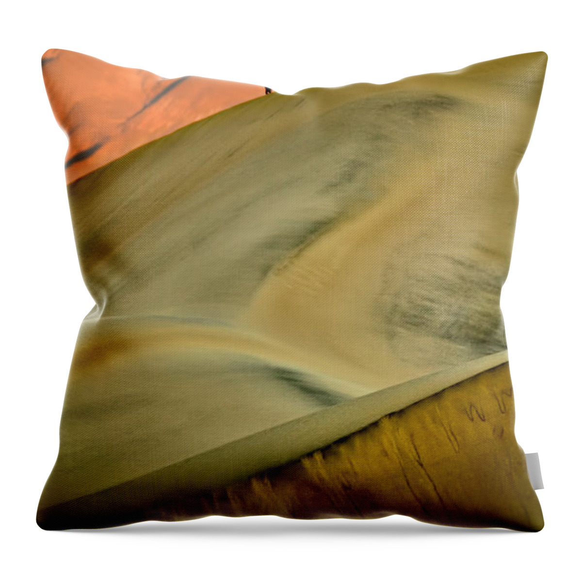 2006 Throw Pillow featuring the photograph Dawn Viewers at Death Valley by Robert Charity