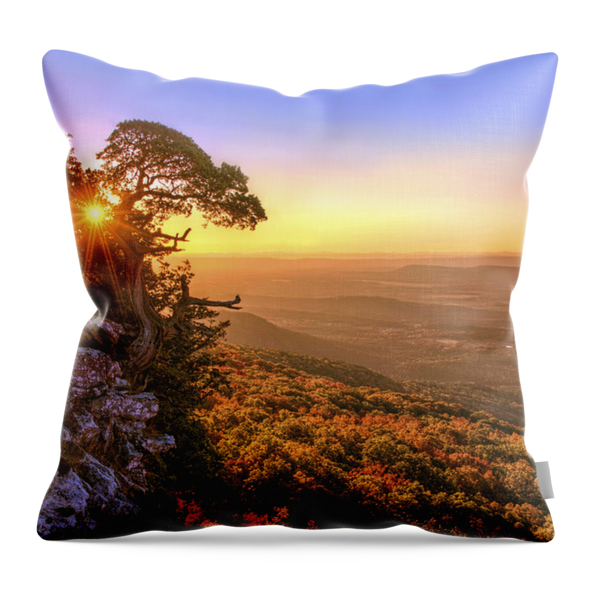 Mt. Magazine Throw Pillow featuring the photograph Daybreak on Mt. Magazine - Arkansas - Cedar Tree - Autumn by Jason Politte