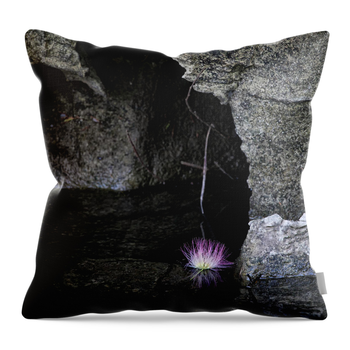 Minimalism Throw Pillow featuring the photograph Dead Flower Floating by Michael Dougherty