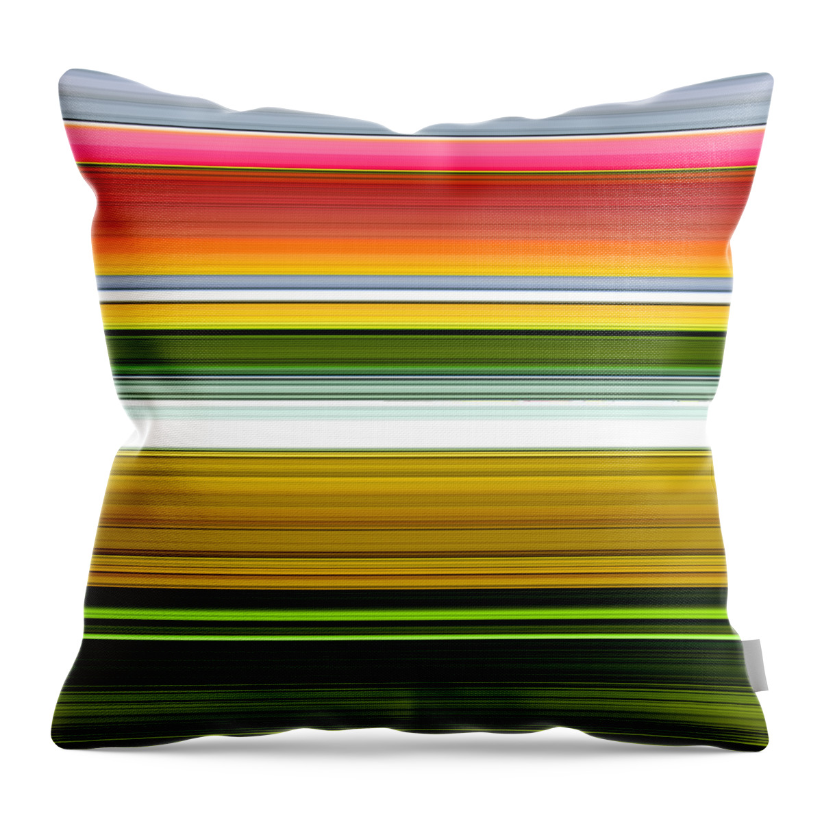 Extract Throw Pillow featuring the digital art December Extract by Chuck Staley
