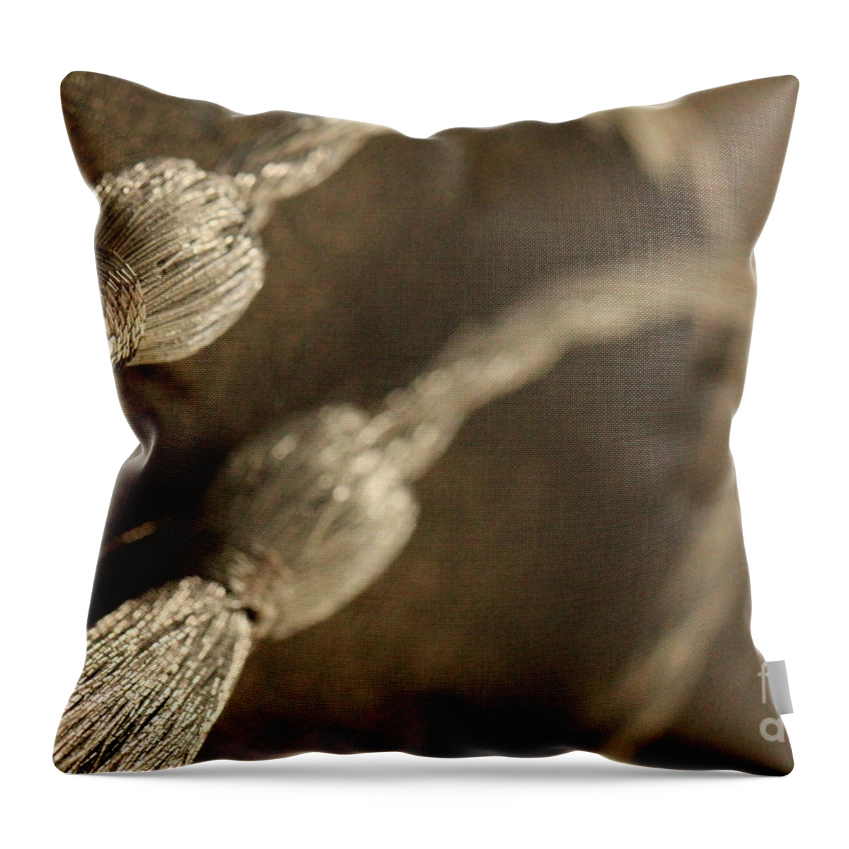  Bind Throw Pillow featuring the photograph Decorative Tassel by Amanda Mohler