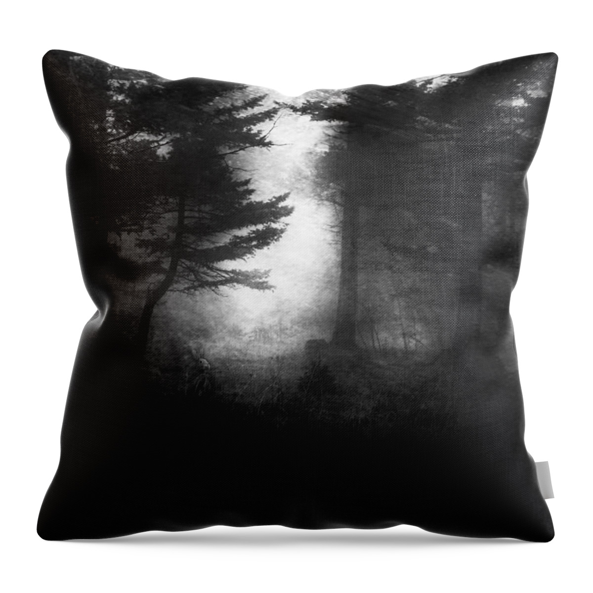 Rabbit Throw Pillow featuring the photograph Deep In The Dark Woods by Theresa Tahara