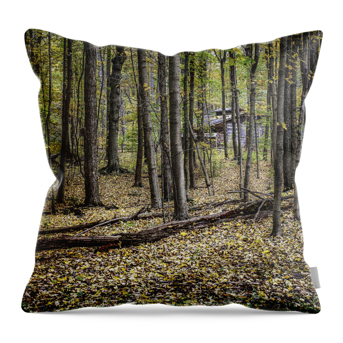 Autumn Throw Pillow featuring the photograph Deep Woods Cabin by Tom Mc Nemar