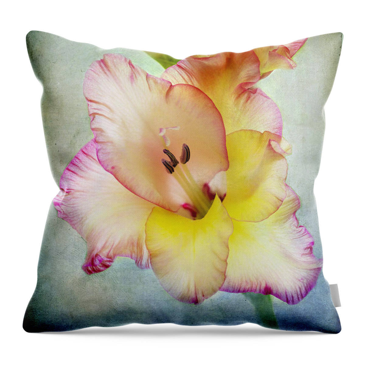 Gladiolus Throw Pillow featuring the photograph Delicate Beauty by Marina Kojukhova