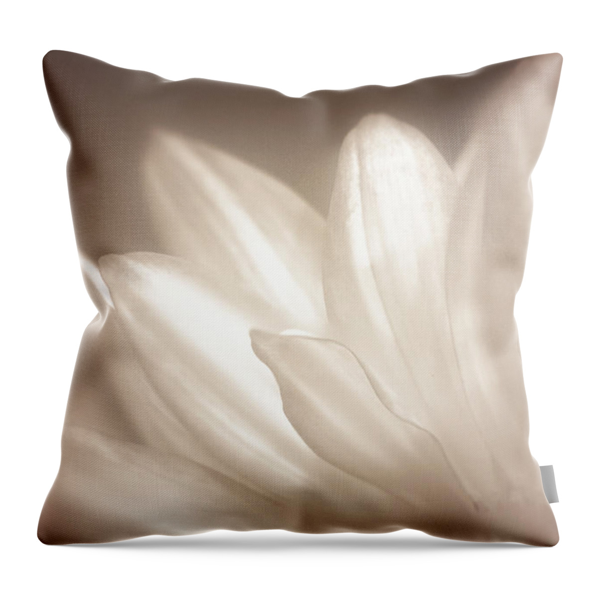 Bloom Throw Pillow featuring the photograph Delicate by Scott Norris