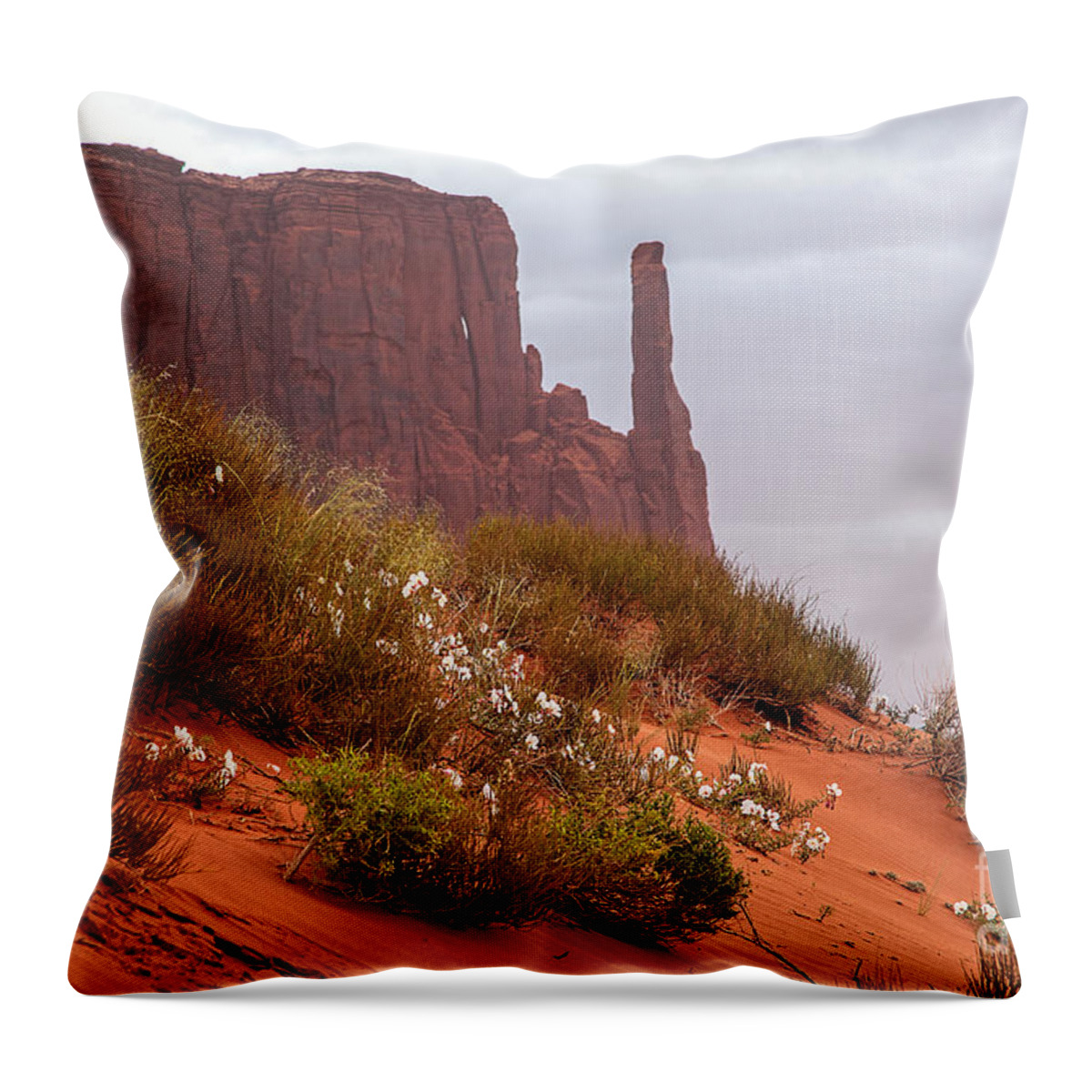 Utah Throw Pillow featuring the photograph Desert Flowers by Jim Garrison