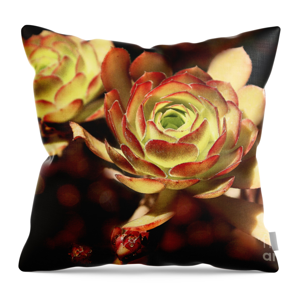 Plants Throw Pillow featuring the photograph Desert Roses by Ellen Cotton