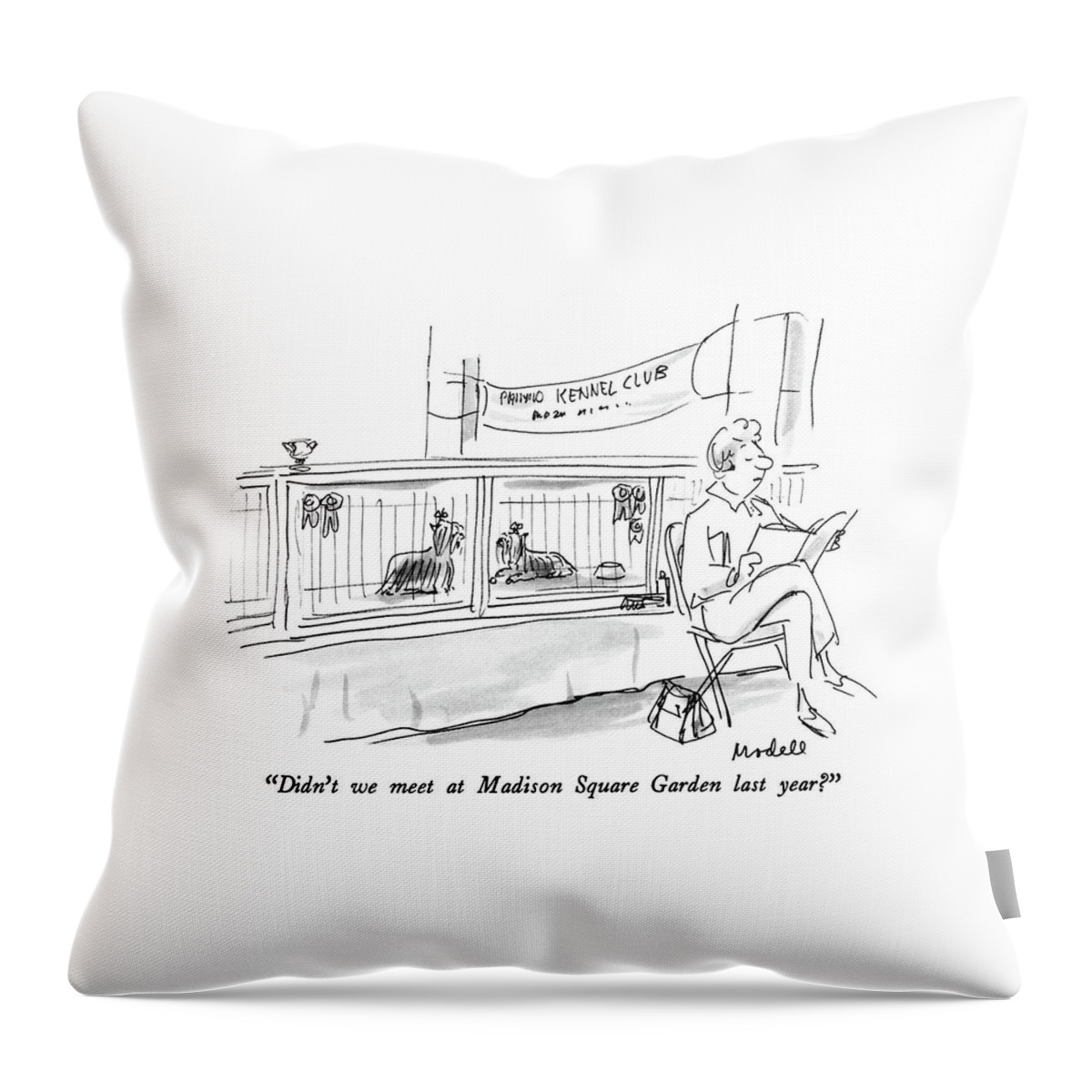 Didn't We Meet At Madison Square Garden Last Year? Throw Pillow