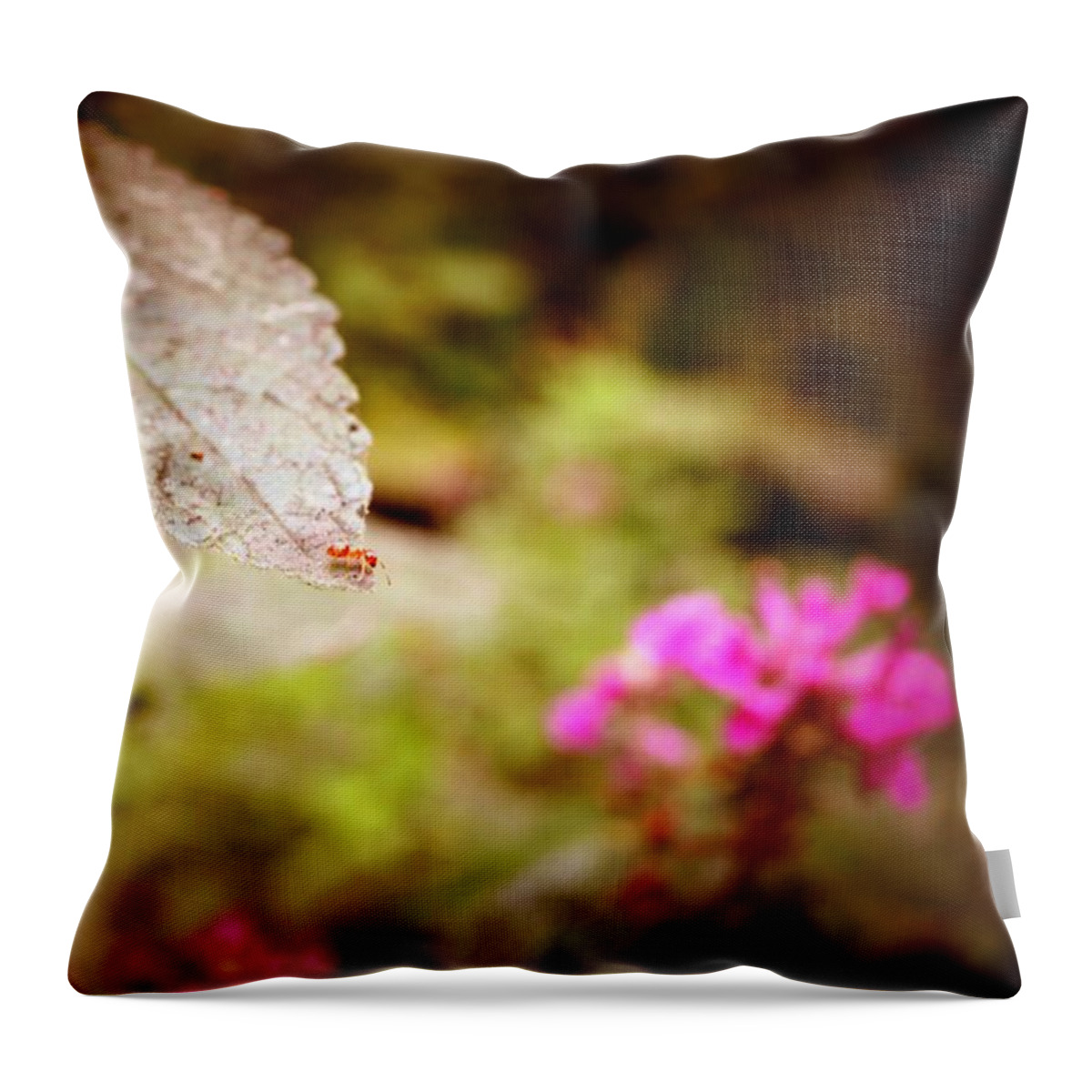 Red Ant Throw Pillow featuring the photograph Don't Look Down by Laureen Murtha Menzl
