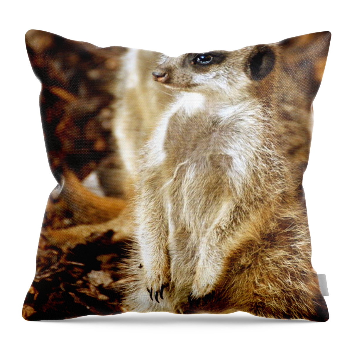 Animal Throw Pillow featuring the photograph Double Trouble by Chris Boulton