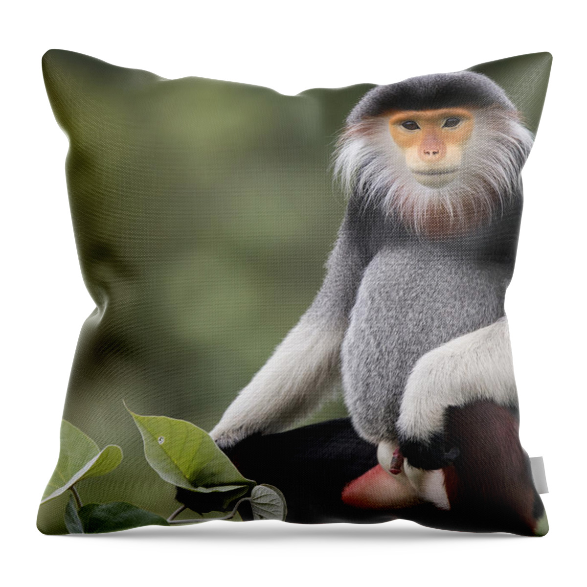 Cyril Ruoso Throw Pillow featuring the photograph Douc Langur Male Vietnam by Cyril Ruoso