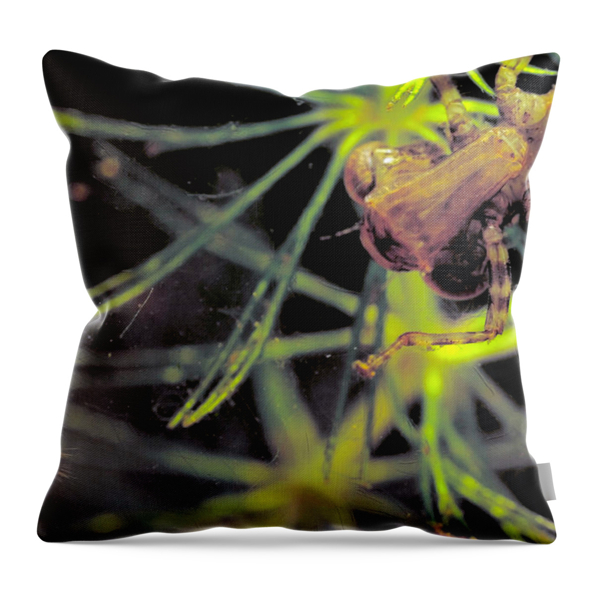 Animal Throw Pillow featuring the photograph Dragonfly Nymph & Mosquito Larva by Robert Noonan