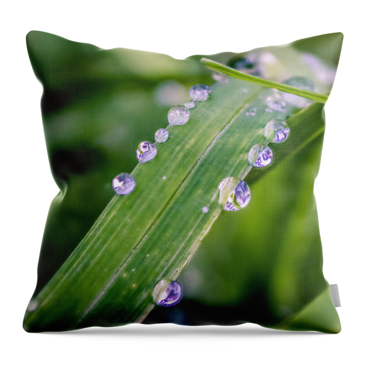 Rain Throw Pillow featuring the photograph Drops On Grass by Rob Sellers