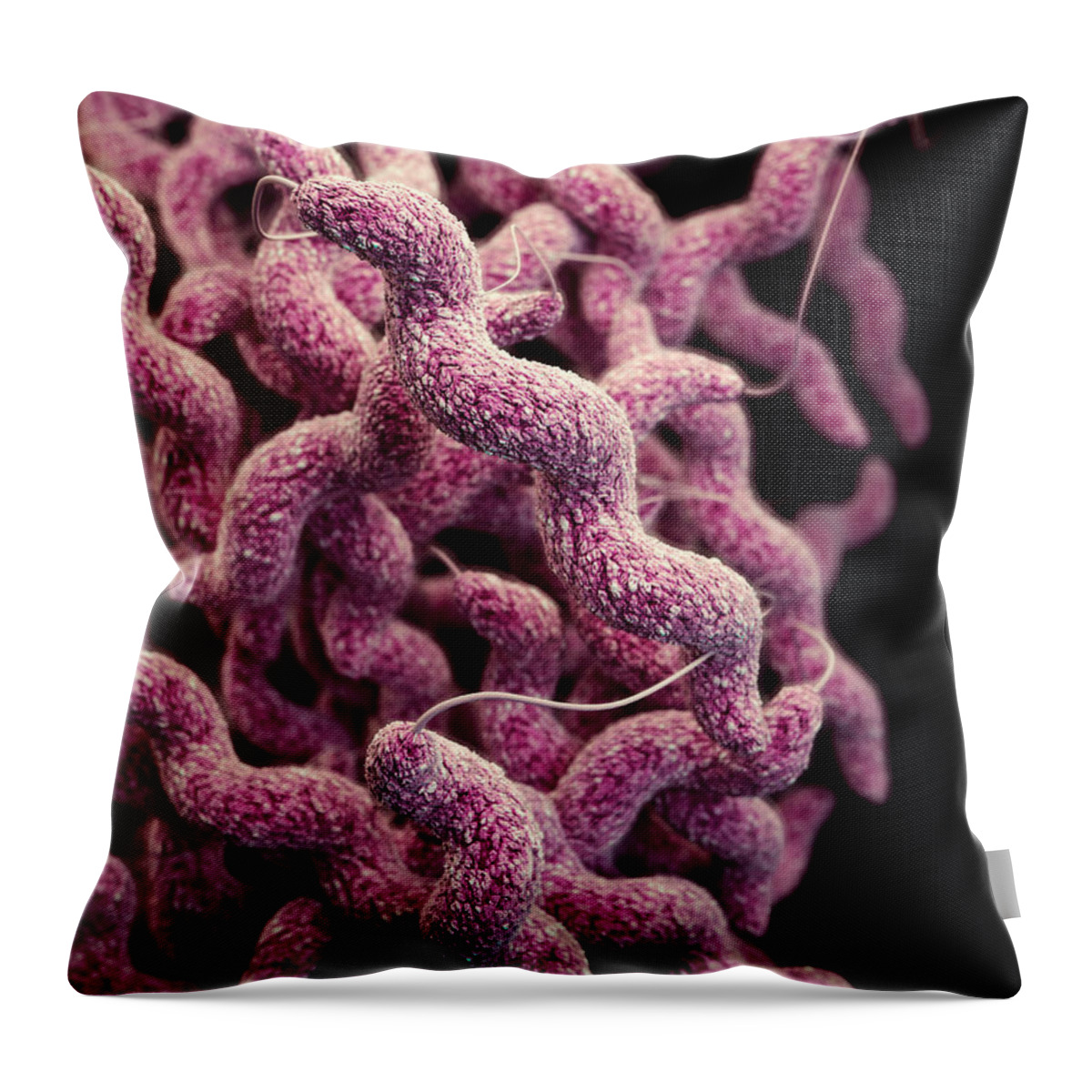 Drug Resistant Throw Pillow featuring the photograph Drug-resistant Campylobacter by Science Source