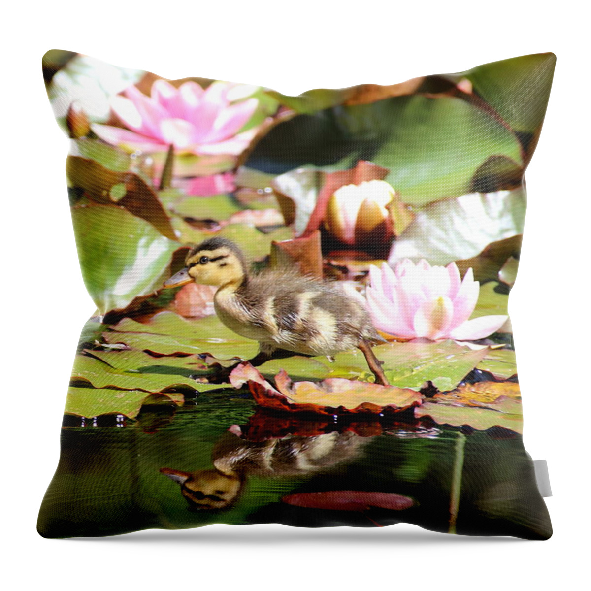 Ducklings Throw Pillow featuring the photograph Duckling running over the Water Lilies 2 by Amanda Mohler