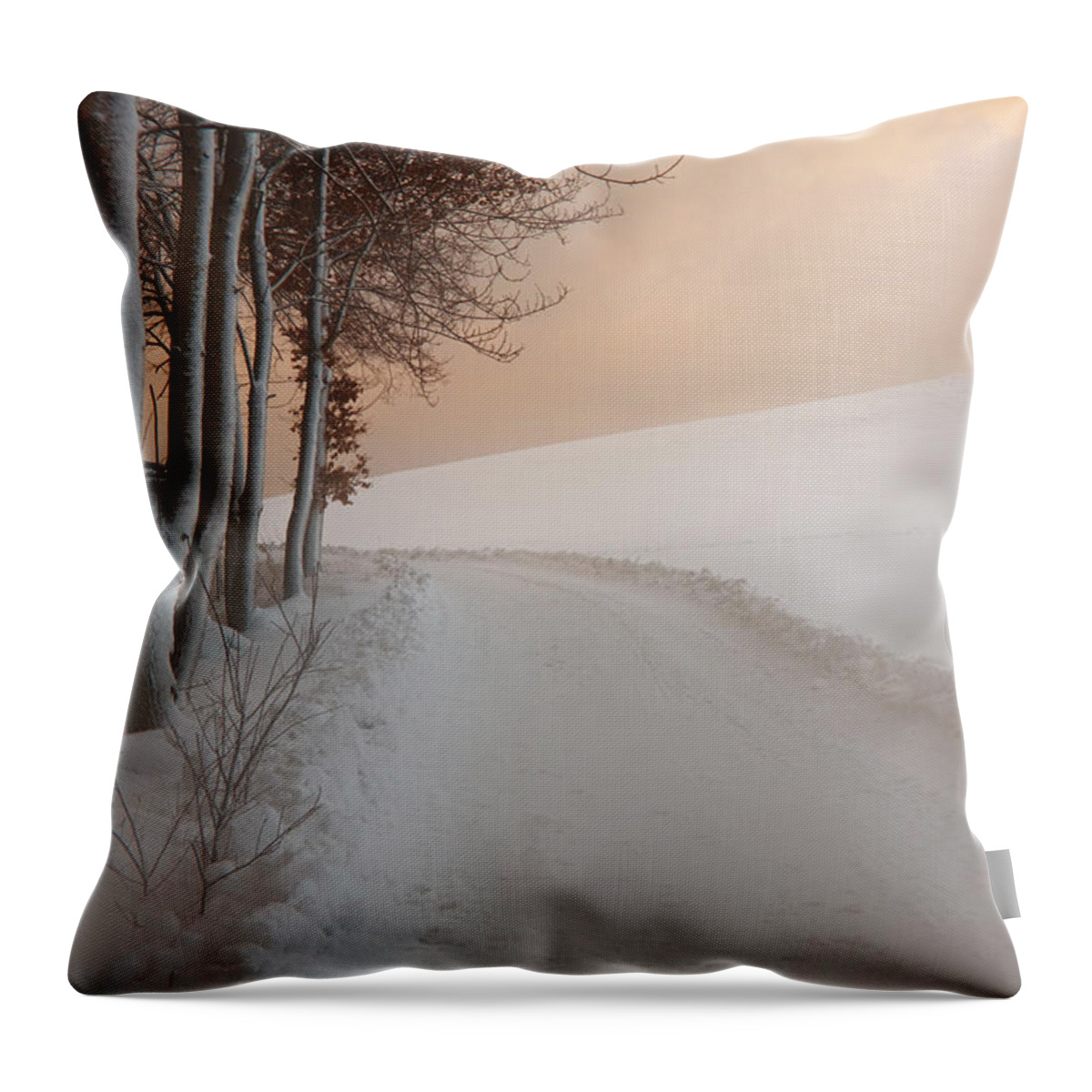 Dusk Throw Pillow featuring the photograph Dusk at the Edge of the Forest by Dorit Fuhg