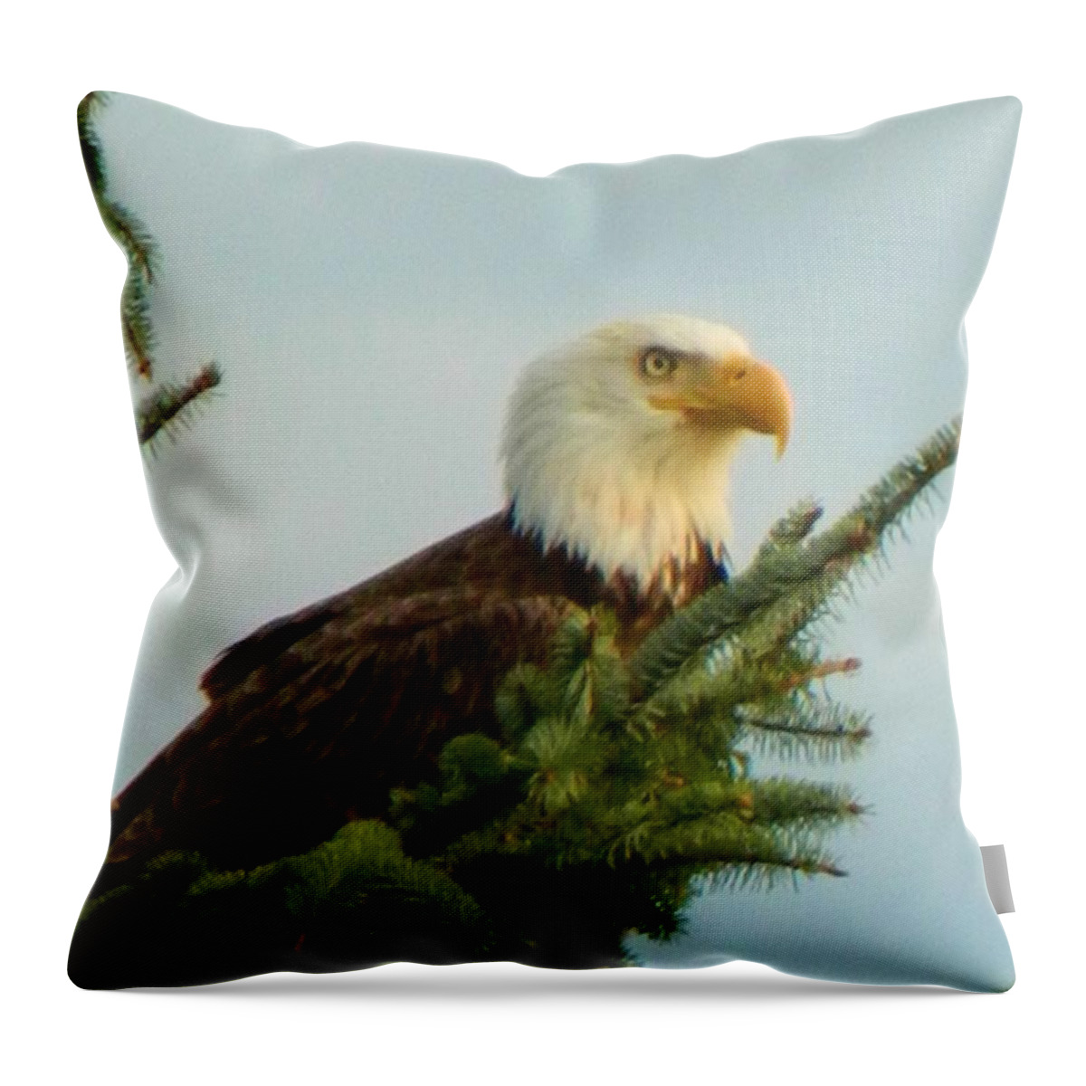 Landscape Throw Pillow featuring the photograph Eagle in Tree by Gallery Of Hope 