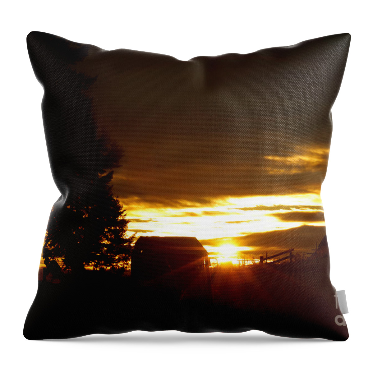 Sunrise Throw Pillow featuring the photograph Early Morning by Loni Collins