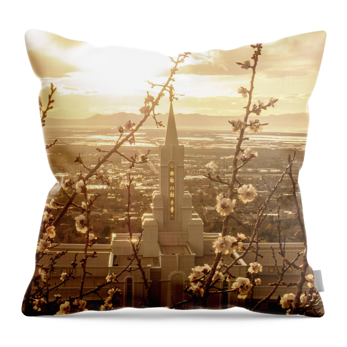 Bountiful Temple Throw Pillow featuring the photograph Earth Renewed by Emily Dickey