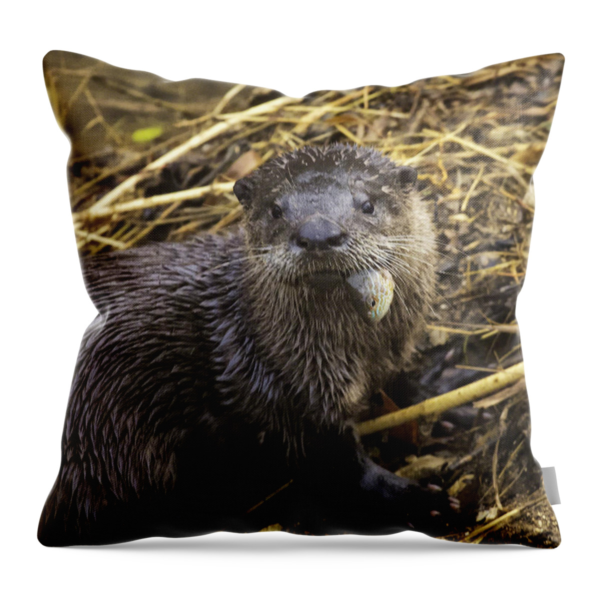 River Otter Throw Pillow featuring the photograph Eatin' My Fish by Michael Dougherty